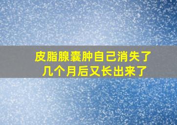 皮脂腺囊肿自己消失了 几个月后又长出来了